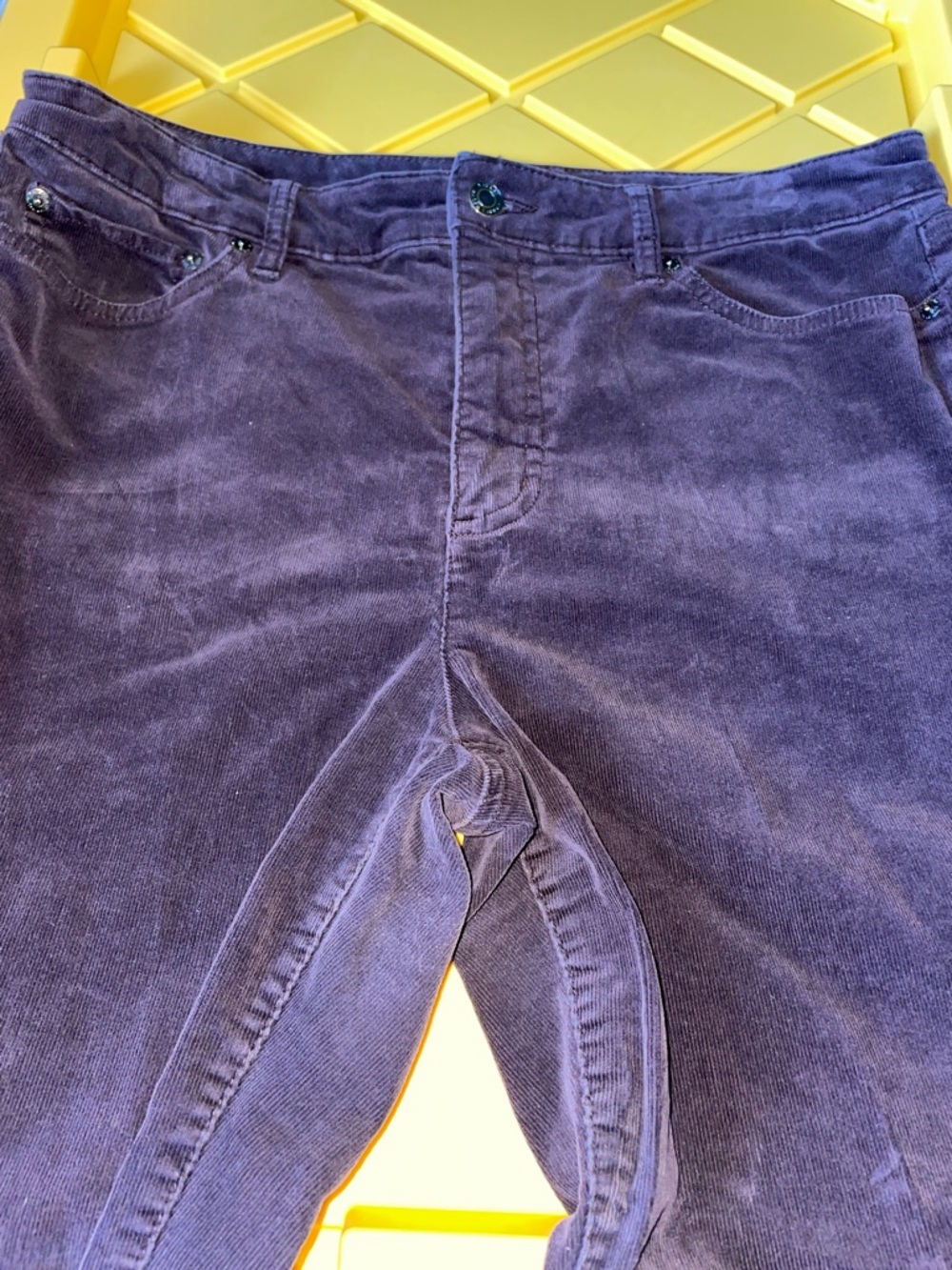 Lauren Ralph Lauren ladies Deep Purple Corduroy Pants